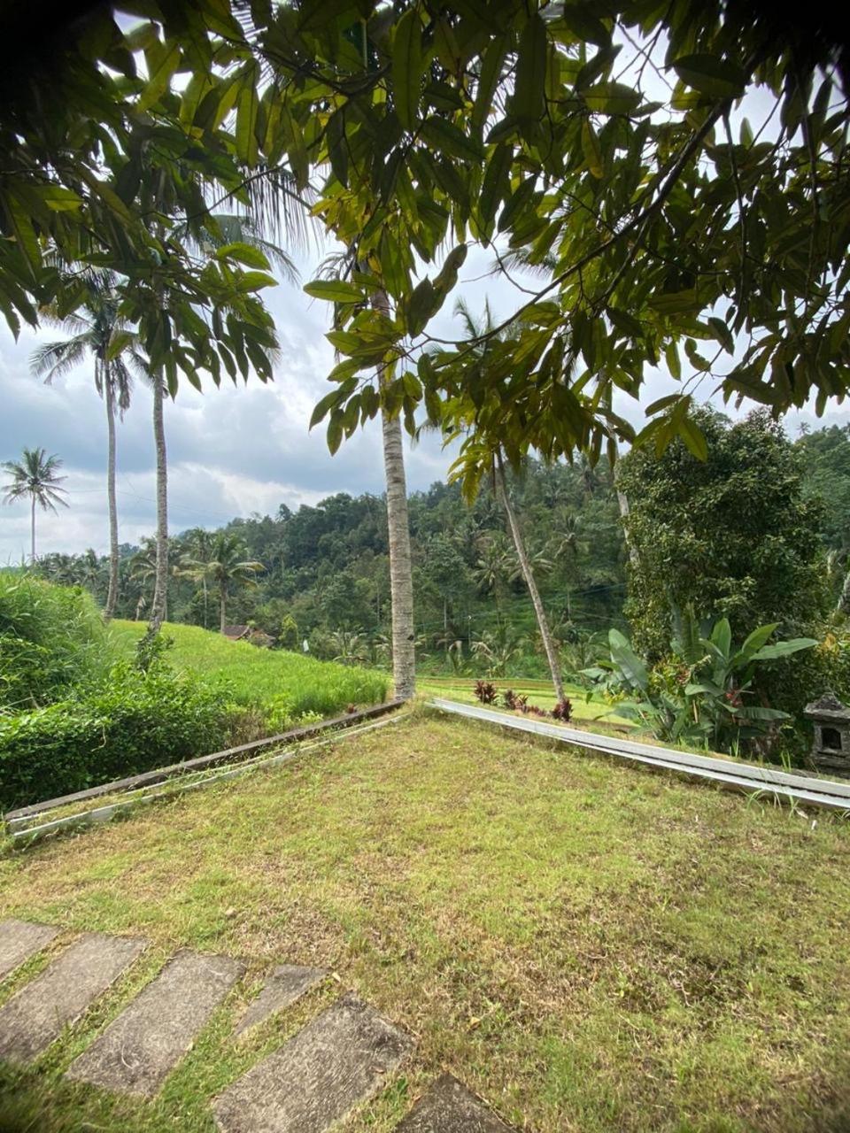 Uma D'Nyuh Homestay Singaraja Exterior foto