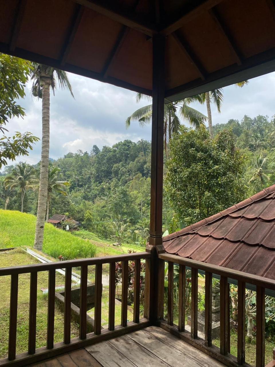 Uma D'Nyuh Homestay Singaraja Exterior foto